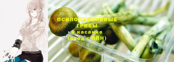 стафф Липки