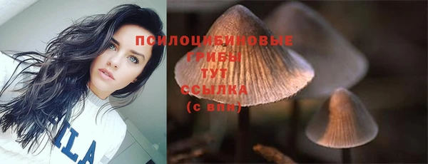 стафф Липки