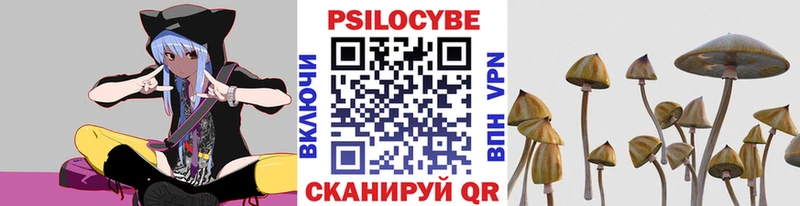 где найти   Сургут  KRAKEN онион  Псилоцибиновые грибы Psilocybine cubensis 